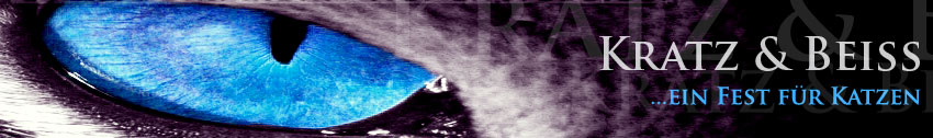 Kratz & Beiss - Ausgabe 13 - Titelblatt