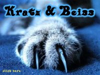 eine Katzenpfote in Gro�aufnahme, Bild blau eingef�rbt