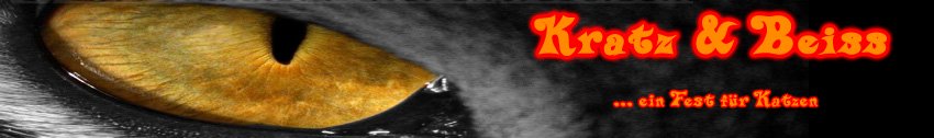 Kratz & Beiss - Ausgabe 12 - Titelblatt